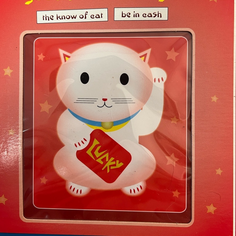 Magnetic Poetry "Lucky Cat" Good Fortune Magnet + 40 Word Phrase Magnets - Picture 2 of 4